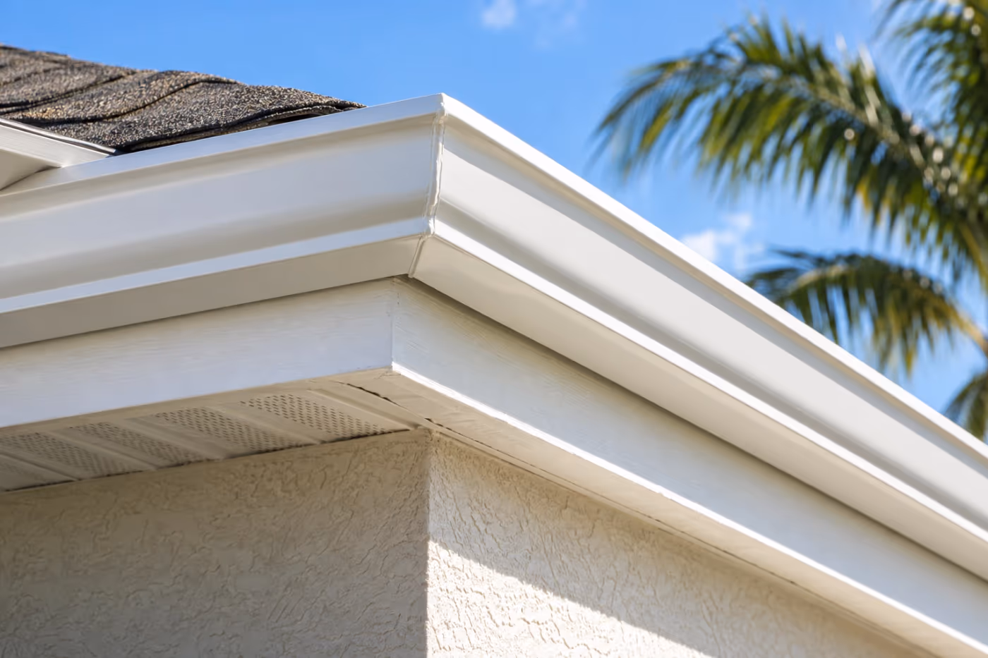 A white aluminum gutter corner on a Florida house seen from below, a fresh clean bead of clear sealant along the mitered seam, white fascia behind it and a palm frond against blue sky