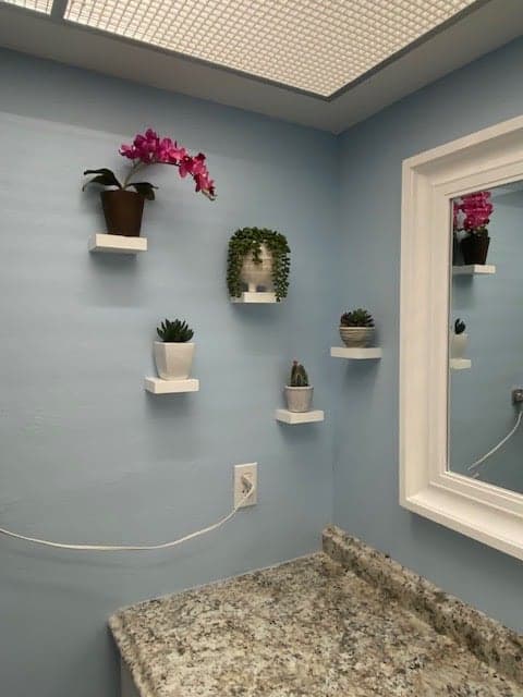 Small white floating shelves holding potted plants on a light blue bathroom wall above a granite vanity top, with a white framed mirror at the right