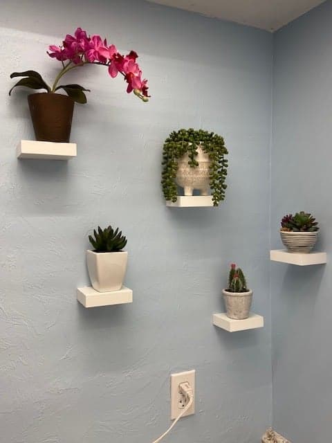 Five small white floating shelves mounted at staggered heights on a light blue textured bathroom wall, each holding a potted plant